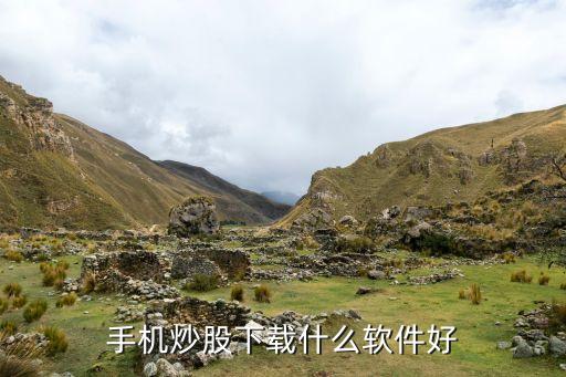 手机里用什么软件玩股票好，手机炒股下载什么软件好