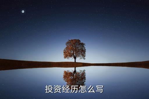 投资经历怎么写