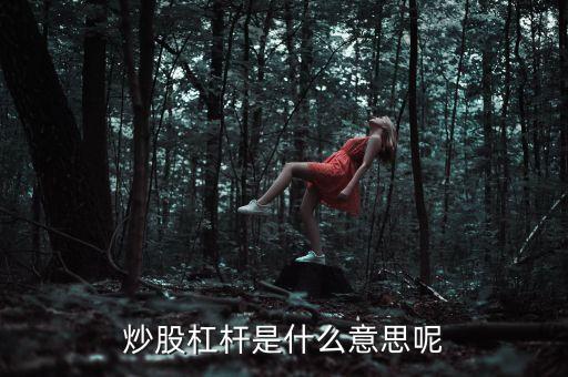 炒股杠杆是什么意思呢