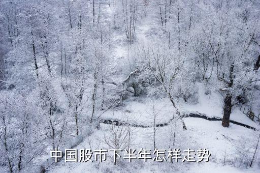 中国股市下半年怎样走势