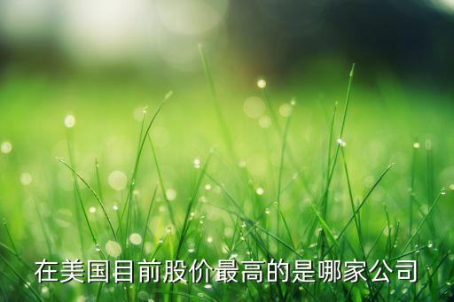 在美国目前股价最高的是哪家公司