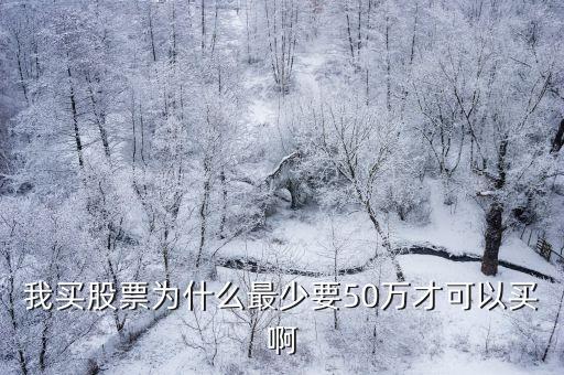我买股票为什么最少要50万才可以买啊