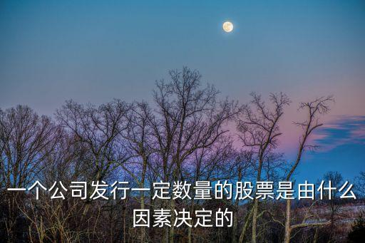 一个公司发行一定数量的股票是由什么因素决定的