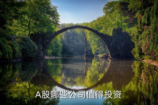 A股哪些公司值得投资