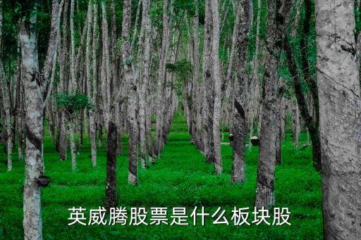 英威腾股票是什么板块股