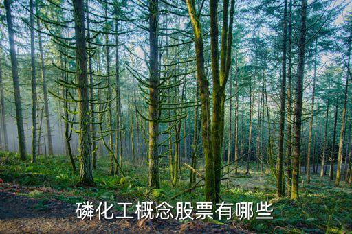 磷化工概念股票有哪些