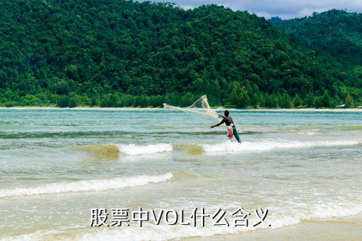 股票中VOL什么含义