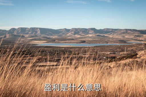 盈利是什么意思