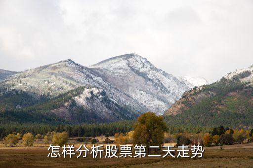 怎样分析股票第二天走势