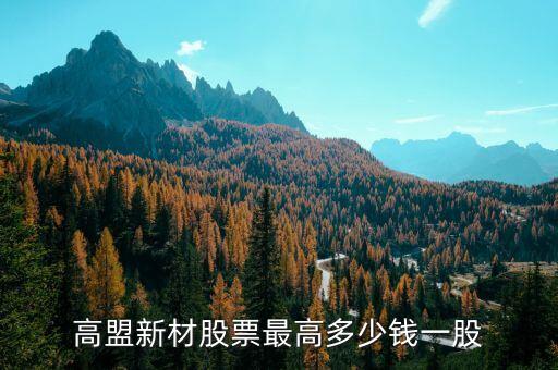 高盟新材股票最高多少钱一股
