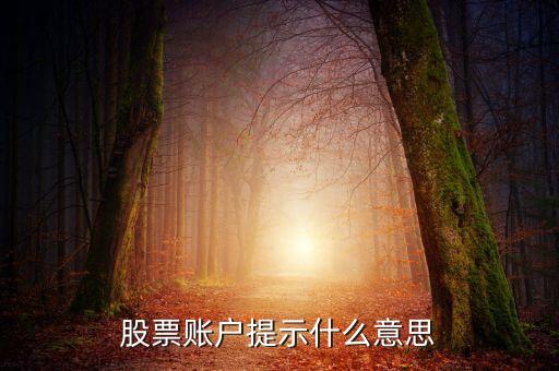 股票账户提示什么意思