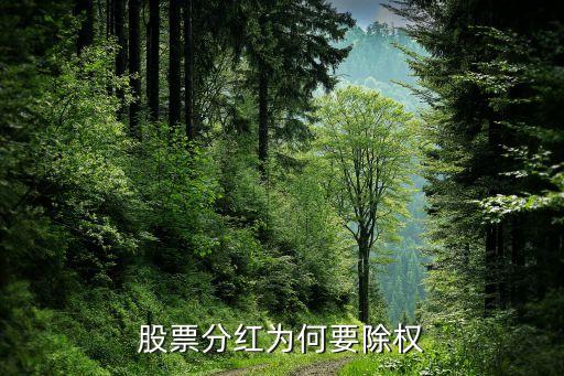 中国股票市场为什么要除权，股票分红为何要除权
