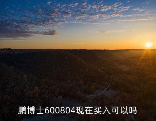 鹏博士600804现在买入可以吗