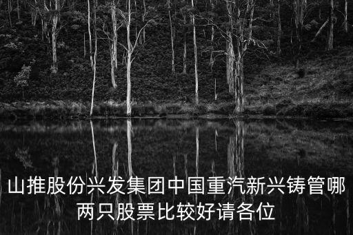 山推股份兴发集团中国重汽新兴铸管哪两只股票比较好请各位