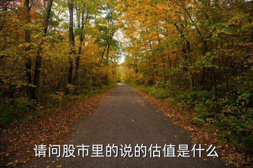 请问股市里的说的估值是什么