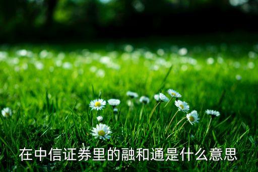 股票上显示通融是什么意思，股票代码右上角融和融通有什么区别