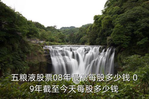 五粮液股票08年最高每股多少钱 09年截至今天每股多少钱