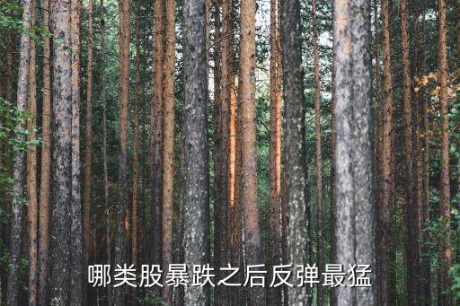 什么样的股票反弹的最厉害，哪类股暴跌之后反弹最猛