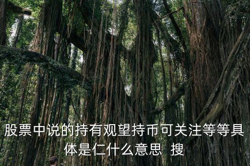 股票中说的持有观望持币可关注等等具体是仁什么意思  搜