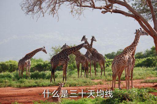 什么是三十天均线