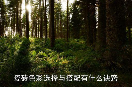 瓷砖色彩选择与搭配有什么诀窍