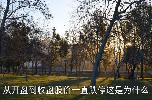 从开盘到收盘股价一直跌停这是为什么
