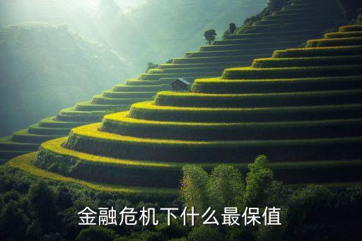 金融危机下什么最保值