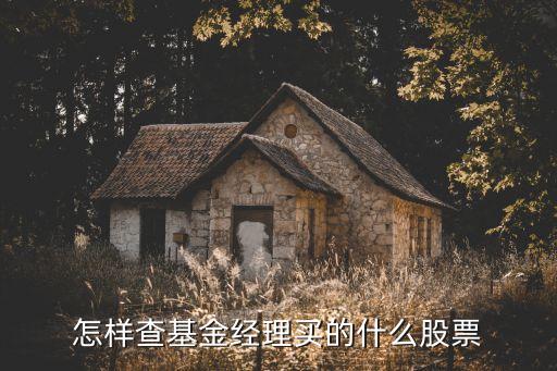 卖基金的时候是看什么股票，基金卖出成交价按什么时间