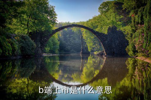 b端上市是什么意思