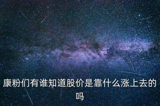 康粉们有谁知道股价是靠什么涨上去的吗