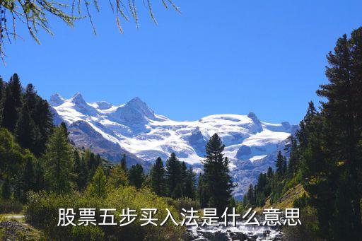 股票五步买入法是什么意思