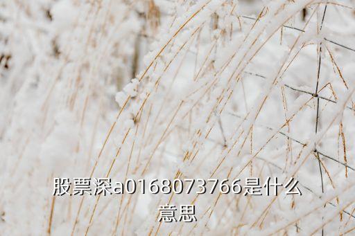 股票深a0168073766是什么意思
