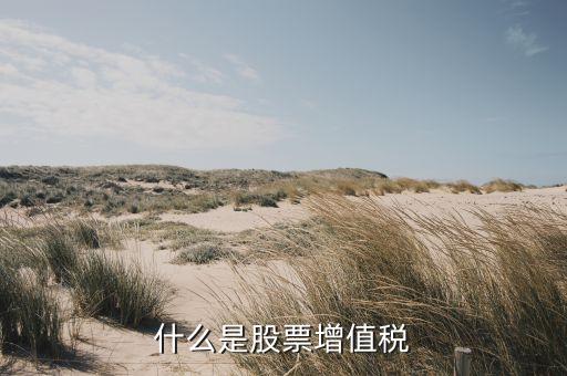 买什么股票有增值税税，什么是股票增值税