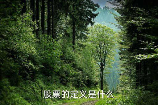 股票的定义是什么