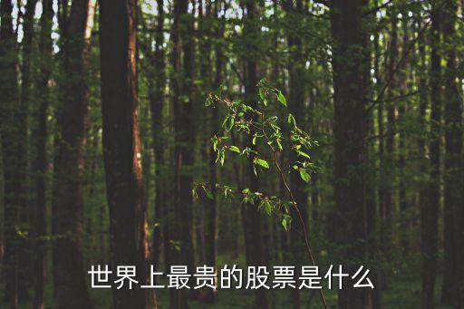 世界上最贵的股票是什么