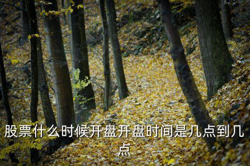 股票什么时候开盘开盘时间是几点到几点
