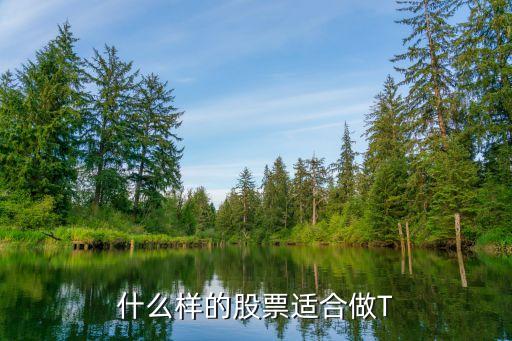 什么样的股票适合做T