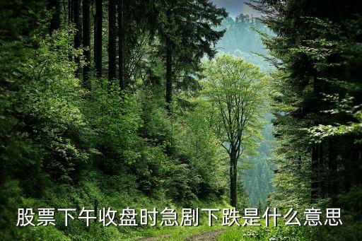 股票下午收盘时急剧下跌是什么意思