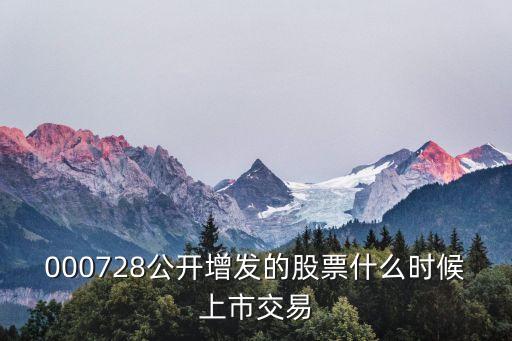 000728公开增发的股票什么时候上市交易