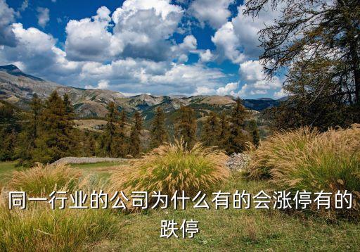 股票为什么跌停板试盘，股票为什么会冲高回落
