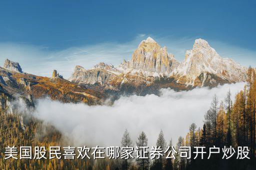 美国人都喜欢什么股票交易，美国人用什么股票软件