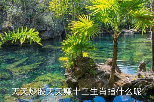 天天炒股天天赚十二生肖指什么呢