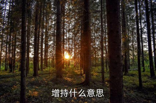 增持什么意思