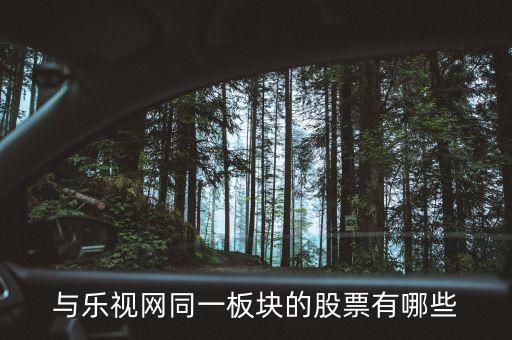 同一板块的股票是什么，与乐视网同一板块的股票有哪些