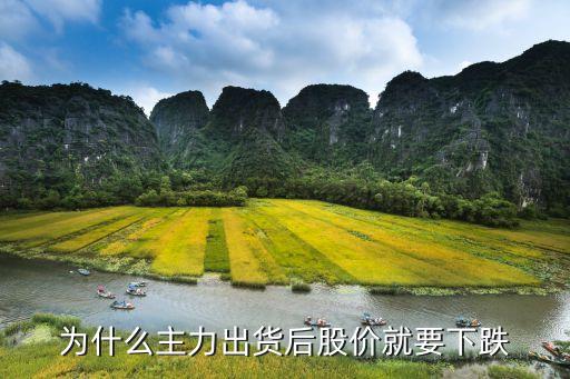 主力大卖股票为什么会大跌，主力在卖盘挂大单为什么能使股价下跌呀