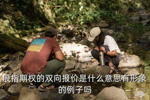 股指期权的双向报价是什么意思有形象的例子吗