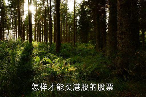 什么样的人可以买港股股票，怎样才能买港股的股票