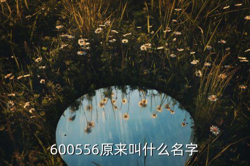 东阳光股票以前叫什么名字，无锡早期的在工人文化宫旁边的证券公司叫什么名