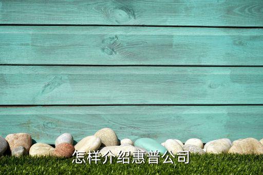 怎样介绍惠普公司