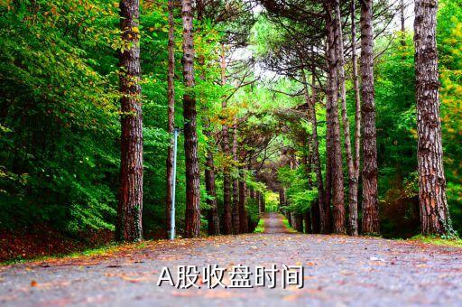 股票收盘价什么时间定，我国的股票开盘 收盘时间是什么时候啊